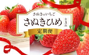 讃岐のいちご定期便（全3回）【さぬきひめ】
