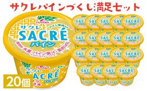 サクレパインづくし満足セット　20個｜アイス かき氷 シャーベット デザート ※着日指定不可 ※離島への配送不可◇