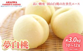 桃 2026年 先行予約 おかやま 夢 白桃 約3.0kg 10～12玉 もも 岡山県 赤磐市産 フルーツ 果物 あかいわファーマーズガーデン デザート 旬の果物 旬のフルーツ