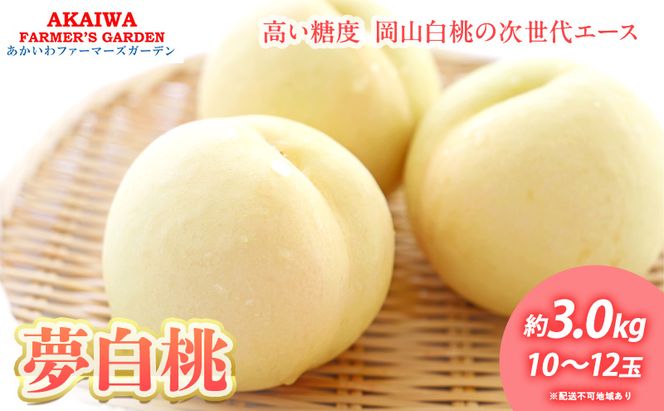 桃 2026年 先行予約 おかやま 夢 白桃 約3.0kg 10～12玉 もも 岡山県 赤磐市産 フルーツ 果物 あかいわファーマーズガーデン デザート 旬の果物 旬のフルーツ