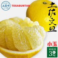 ＜2026年3月より順次発送＞土佐文旦 小玉 家庭用 3kg 7～9玉入り M～Lサイズ