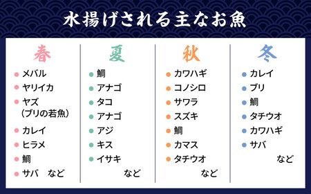 【塩 にも こだわり ！ 】玄海 の 海旬 の 干物 セット （ 3,4人向け ） 《糸島》【福ふくの里】 [ALD003]