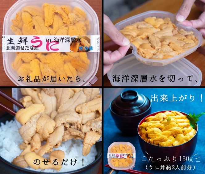 【2025年6月中旬から順次発送】【北海道せたな町産】生鮮生うに(150g×1パック)