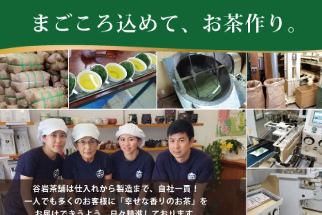 お茶 ティーバッグ 特撰 みやざき煎茶 3袋 セット [谷岩茶舗 宮崎県 日向市 452061642] ティーパック 茶 茶葉 緑茶 新茶 お茶の葉