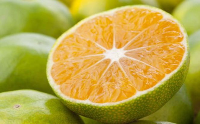 【秀品】有田産極早生みかん約5kg(2S～Lサイズ混合)★2026年10月中旬頃より順次発送 BZ139