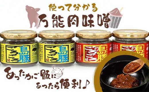 島豚ごろごろ 島唐辛子入り【ピリ辛】×3個・沖縄のおふくろの味×3個 ※人気の2種類セット【沖縄 石垣 みそ ミソ 肉味噌 島唐辛子 調味料】AD-2