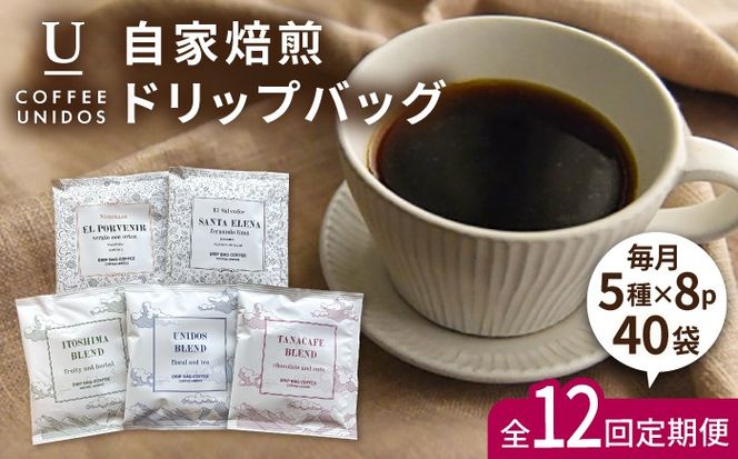【全12回定期便】コーヒー ドリップ バッグ 40個 セット ( 5種類 × 8個 ) 糸島市 / COFFEE UNIDOS [AQF020] 珈琲 カフェ コーヒー粉