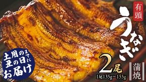 鹿児島県産 有頭 鰻 蒲焼 × 2尾 （ 1尾 135g ～ 155g 以上）【 数量限定 寄附額 17000円 → 16000円 】 うなぎ ウナギ 土用丑の日 家庭用 贅沢 国産 旬 敬老の日 タレ 山椒 付 縁起 土用の丑の日 鰻祭り [DQ007us]