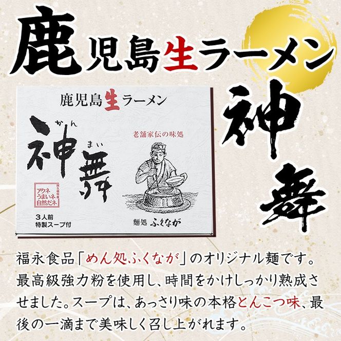 ふるさとの味 詰め合わせセット(8種) タレ 味噌 醤油 生めん 調味料 たれ みそ しょうゆ 麺 麺類 ラーメン 生麺 セット 詰合せ セット【福永食品】akn005-02