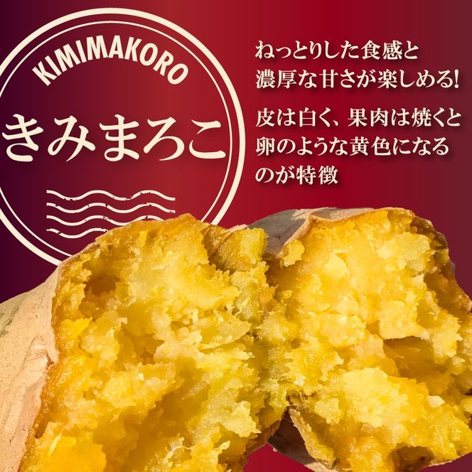 焼き芋 蜜たっぷり！冷やし焼き芋 ひえひえ君 きみまろこ 1kg（4～6袋） 【ジャパンフードセレクション 金賞】 芋スイーツ　H047-053