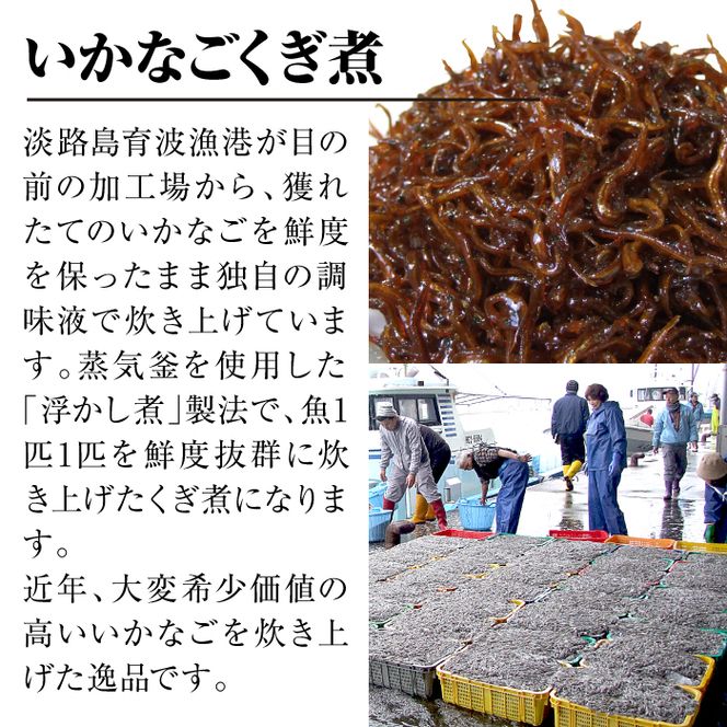 淡路島 高栄水産、いかなごくぎ煮とちりめんじゃこのセット 600g（300g×2箱）