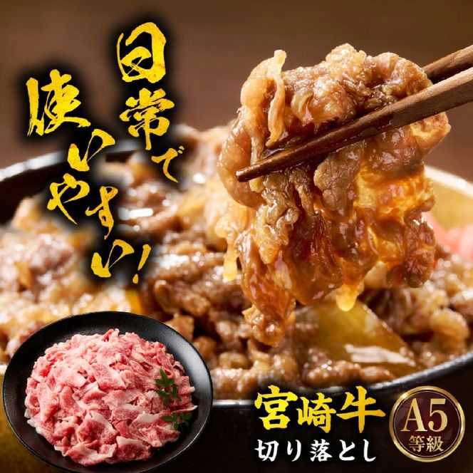 【A5等級宮崎牛】サーロインステーキ・切り落としセット1kg（小林市産 牛肉 和牛 特選 贅沢 厳選和牛 ブランド牛 ギフト 贈答）
