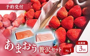 【2027年3月上旬より発送開始】【予約受付・3回定期便】あまおう贅沢セットNo.1 ※配送不可：北海道・沖縄県・離島