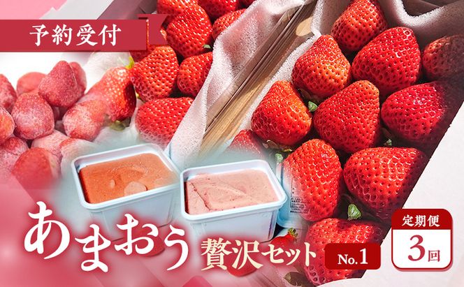【2027年3月上旬より発送開始】【予約受付・3回定期便】あまおう贅沢セットNo.1 ※配送不可：北海道・沖縄県・離島