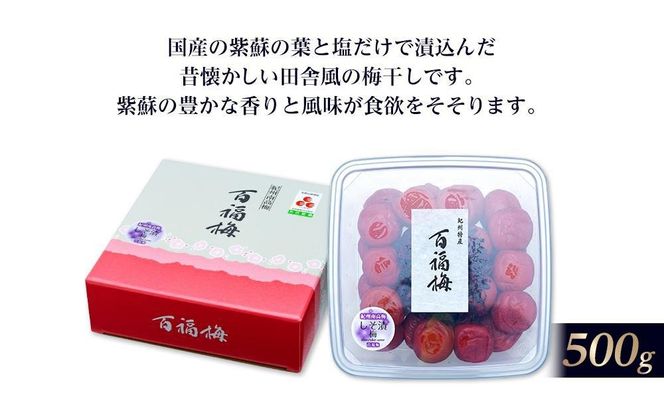 【定期便6回】紀州の梅干 しそ漬梅(紀州南高梅/500g)化粧箱入り 塩分15% E047 