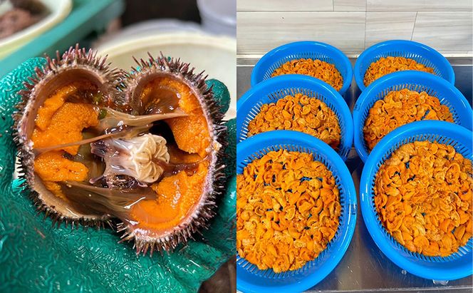 北海道 礼文島産 極上の旨み 昆布〆ウニ お試し食べ比べセット (ムラサキ・バフン 各50g)［Dining cafe 海］【 うに ウニ 雲丹 昆布〆 バフンウニ ムラサキウニ 珍味 おつまみ 酒の肴 ご飯のお供 絶品 】