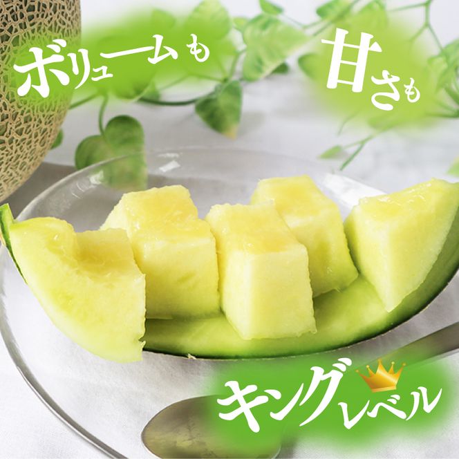 【2026年5月より順次発送】特大玉イバラキングメロン 2玉｜メロン イバラキングメロン フルーツ 果物 くだもの 特大 先行予約 茨城県 行方市(BW-15-1)