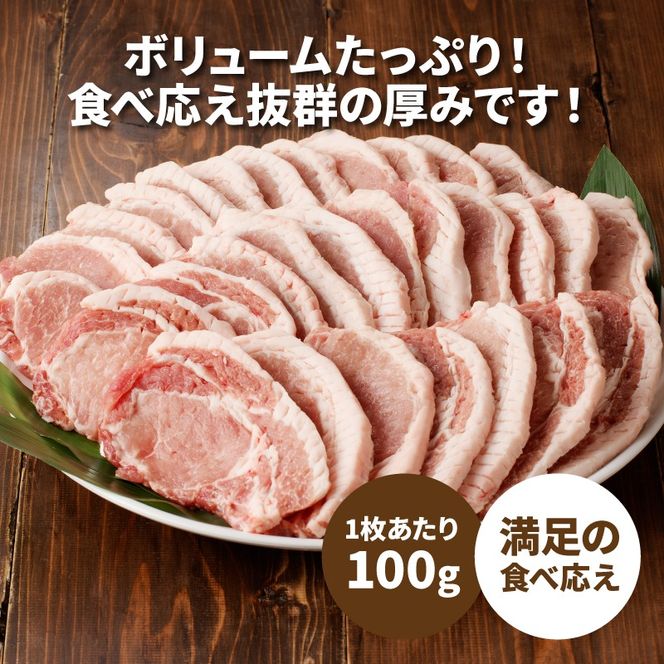 贅沢宮崎県産豚肉ロース100gカット20枚 K16_0150