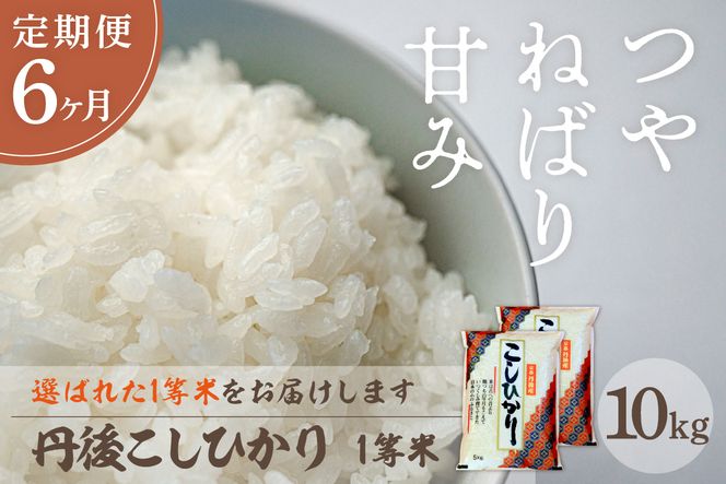 【定期便6回】令和8年産 丹後こしひかり 10kg(5kg×2)×6ヵ月 1等米 お米 コメ こめ 丹後 コシヒカリ 精米 ふるさと 納税 コシヒカリ 精米 ふるさと 納税 こしひかり 精米 ふるさと 納税 米　MU00109