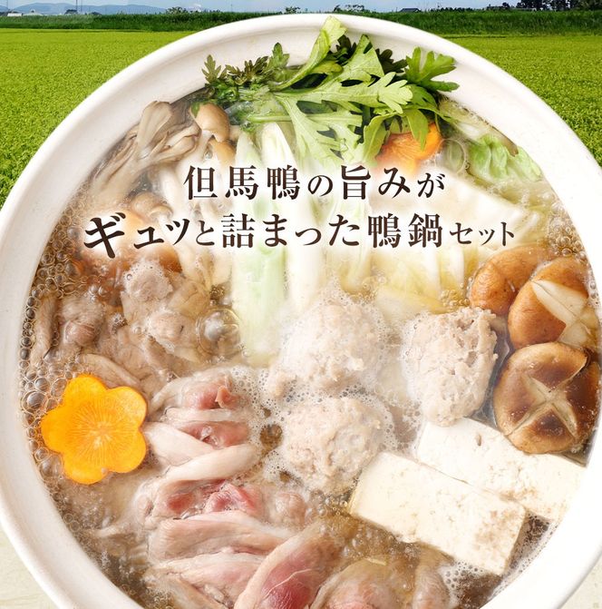 【ふるさと納税】但馬鴨鍋 パーティーセット 7～8人前 鴨鍋 カモ鍋 かも鍋 鴨 鴨肉 ロース モモ肉 鴨ガラ 鴨出汁 但馬鴨 つくね 玄米うどん うどん スモークスライス 鍋 セット お取り寄せ 冷凍【配送不可地域：離島】【1126328】兵庫県 新温泉町 送料無料