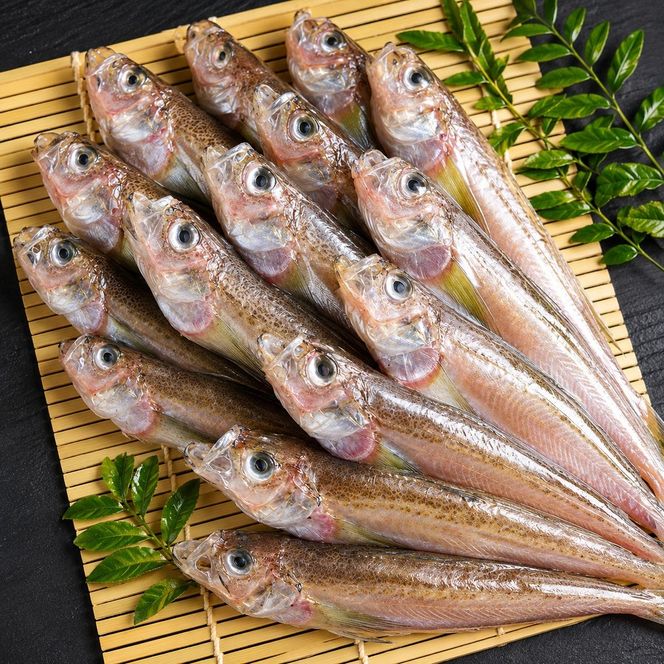 ハタハタ（特々大）干物 一夜干し 450g ×2箱【配送不可：離島】 魚貝類 海鮮 干物 おつまみ 肴 ハタハタ 酒  myz02 myz11 myz17