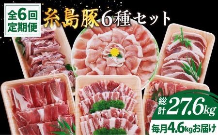 [全6回定期便]計4.6kg!糸島豚 食べ尽くしセット ( とんかつ / 肩ロース / しゃぶしゃぶ / 豚バラ / スペアリブ / 小間切れ ) 糸島市 / トラヤミートセンター [AJD013] 豚肉 スライス しゃぶしゃぶ ロース スペアリブ こま切れ
