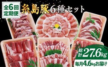 [全6回定期便]計4.6kg!糸島豚 食べ尽くしセット ( とんかつ / 肩ロース / しゃぶしゃぶ / 豚バラ / スペアリブ / 小間切れ ) 糸島市 / トラヤミートセンター 