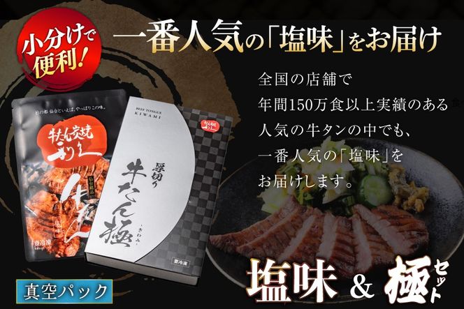 牛たん 炭焼 利久 牛たん極 (塩味) ＆ 牛たん塩味 各2個 セット [利久 宮城県 気仙沼市 20566129] 牛タン 牛 肉 牛肉 タン 焼肉 キャンプ アウトドア バーベキュー BBQ 牛タン塩 牛たん塩 冷凍 小分け 個包装
