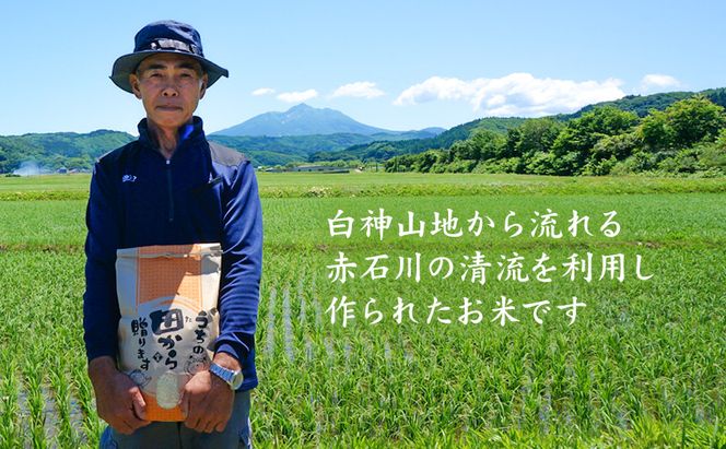 米 令和8年産 はれわたり 無洗米 15kg (5kg×3袋) 白米 こめ お米 おこめ コメ ご飯 ごはん 令和8年 山下農園 青森 青森県 鯵ヶ沢町