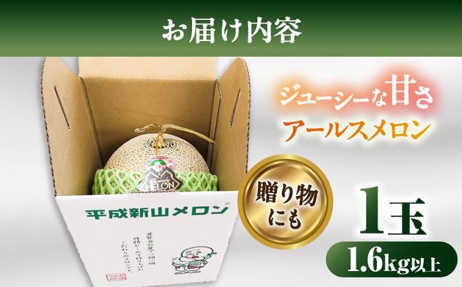 【2026年7月下旬〜発送】【平成新山メロンPREMIUM（とみちゃん厳選）】アールスメロン 1玉 / メロン めろん 果物 フルーツ / 南島原市 / うえだメロン園 [SAD005] 