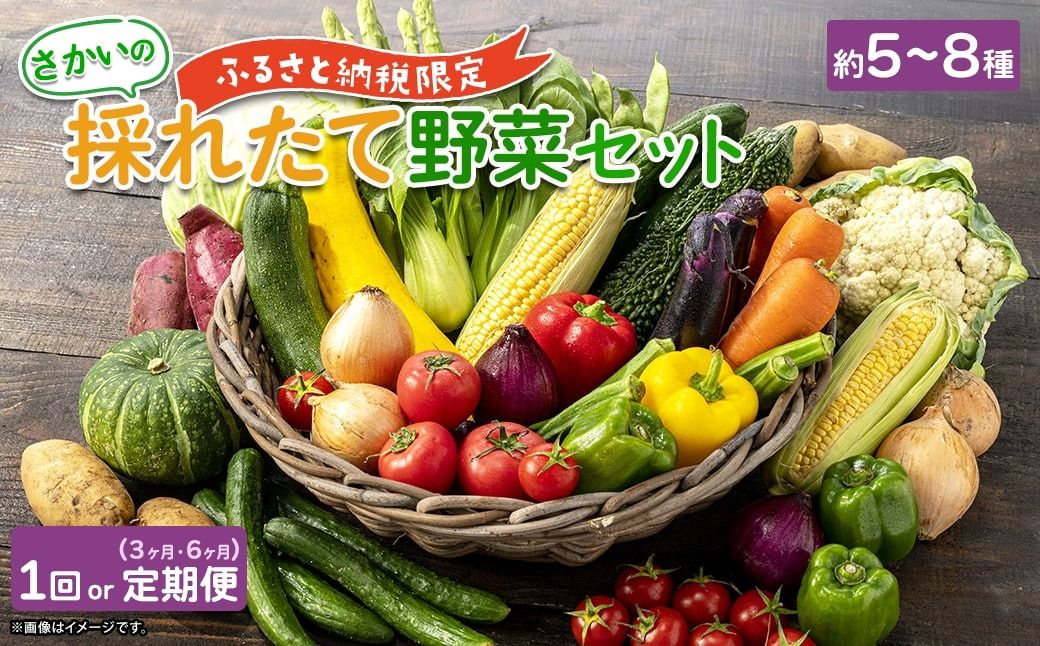 [ふるさと納税限定]さかいの採れたて野菜セット 5〜8種