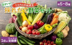 【ふるさと納税限定】さかいの採れたて野菜セット 5～8種