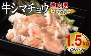 G3383 牛シマチョウ 焼肉用 塩麹漬け 合計1.5kg【味付け 小分け 焼くだけ 簡単調理 BBQ 牛肉 ホルモン 250g×6袋】