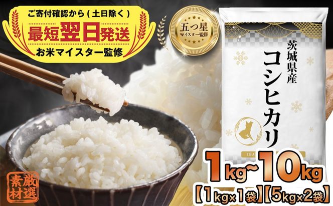 最短翌日出荷!! ＼ 選べる内容量 ／ 令和7年産 茨城県産 コシヒカリ 1kg 2kg 3kg 5kg 10kg 五つ星 お米マイスター 監修 即納 こしひかり 国産 こめ コメ 米 精米 人気 美味しい ランキング ふるさと納税 返礼品  [DW03-NT]