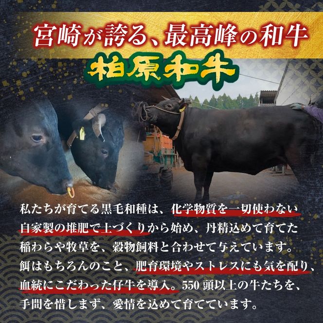 【自社農場和牛】黒毛和牛 特製塩だれミックスホルモン 900g（国産 黒毛和牛 宮崎牛 牛肉 塩だれ ホルモン ミックスホルモン 冷凍 宮崎県 小林市）