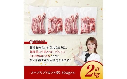 「まるみ豚」宮崎県産豚肉　スペアリブ　計2kg(カット済) 【 豚肉 豚 肉 国産 川南町 スペアリブ 】[D11509]