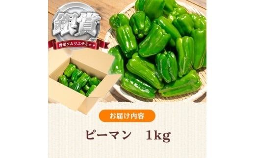 志布志産ピーマン(1kg) p8-149