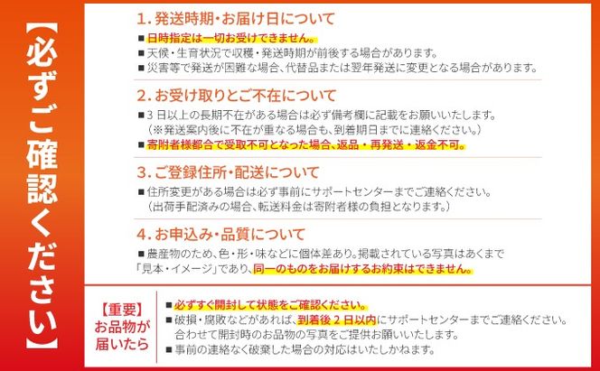 南国石垣島では冬が旬！朝採れ「ゴーヤ」たっぷり20本セット！減農薬！最優秀賞受賞の農家から！12月～3月順次発送【 沖縄県石垣市 石垣島産 フレッシュ ゴーヤ 減農薬 特別栽培 野菜 採れたて 離島のいいもの 沖縄いいもの石垣島 】OI-11