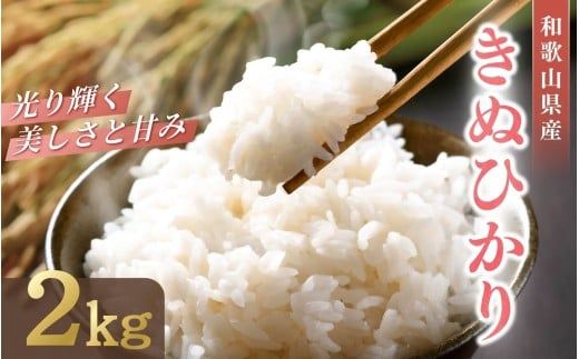 ya̎Rnza̎RY LkqJ 2kgi2025NYj /  ʂЂ  ߘa7N lC  2025N9{菇\ysml138z