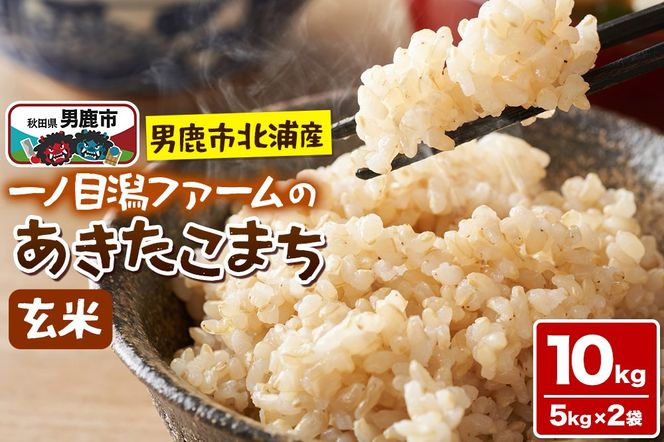 yHcjszߘa7NYuHcjskYYv܂iāj10kgi5kg×2܁j|23_imf-011001