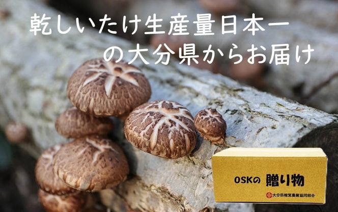 どれも美味しい！大分きのこの加工品セット 大分県 椎茸 乾しいたけ ストック 加工品_2652R