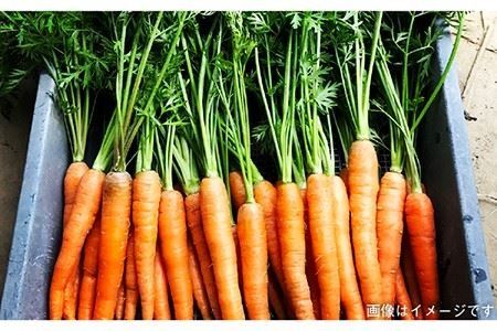 【 糸島 の 福袋 ！ 】朝採り オーガニック 旬 野菜 お任せ 5品 ＋ 糸島産 大ヒット 特産 加工品 2品 のセット《糸島》【オーガニックナガミツファーム】 	[AGE028]