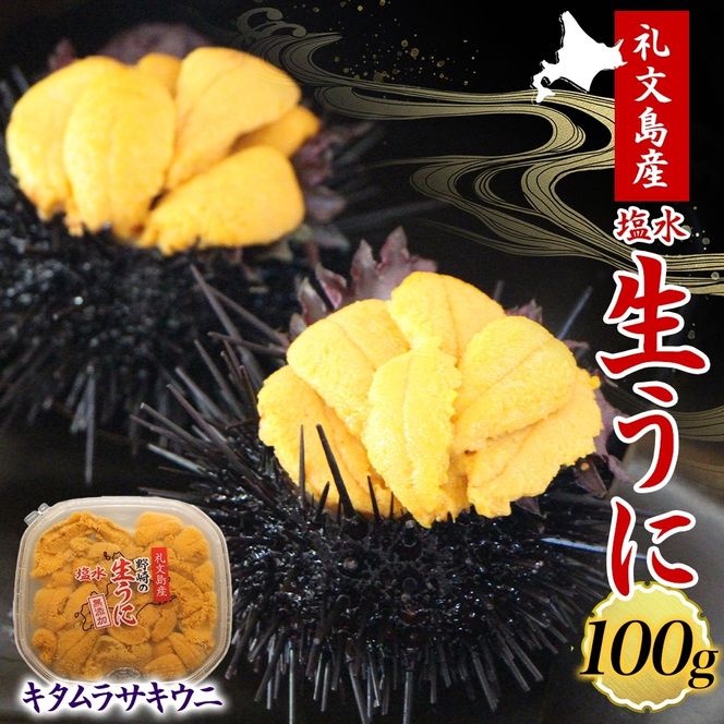 北海道 礼文島産 ミョウバン不使用 塩水ウニ キタムラサキウニ 100g×1パック［野崎水産］【 うに ウニ 雲丹 生うに 塩水うに ムラサキウニ 素材本来の味 海鮮 うに丼 濃厚 甘み 産地直送 】