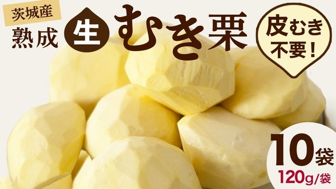 y錧}szy g_  nI z n ނI 10 ( 120g × 10 ) ߘa7NY n I  N I͂  Mtg ʕ t[c ʌ { H ~   [CX018ci]