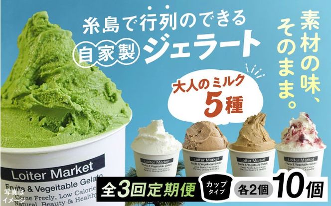ジェラート アイス 【全3回定期便】糸島で行列のできる アイスクリーム 屋 ジェラート カップ 10個 セット！ 大人の味 5種類 × 各2個 ( ミルク , 抹茶 , ほうじ茶 , カフェオレ , ブルーベリーヨーグルト ) 糸島市 / LoiterMarket ロイターマーケット アイスクリーム [AGD020]