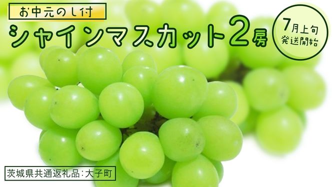 y錧vszy  ltz VC}XJbg Q[ y2026N7{Jnz(錧ʕԗiFq) Ԃǂ  uhE }XJbg t[c ʕ p Mtg 蕨