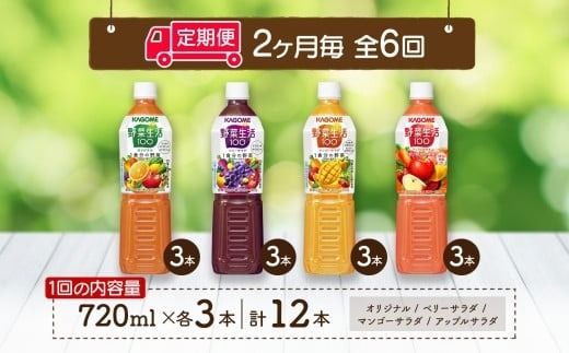 ns038-034　定期便 2ヵ月毎全6回 カゴメ 野菜生活100 飲み比べセット スマートPET 720ml  4種 計12本 オリジナル ベリーサラダ マンゴーサラダ アップルサラダ 野菜 果実 ミックスジュース 野菜ジュース フルーツジュース フルーツ 飲料 KAGOME 送料無料 那須塩原市