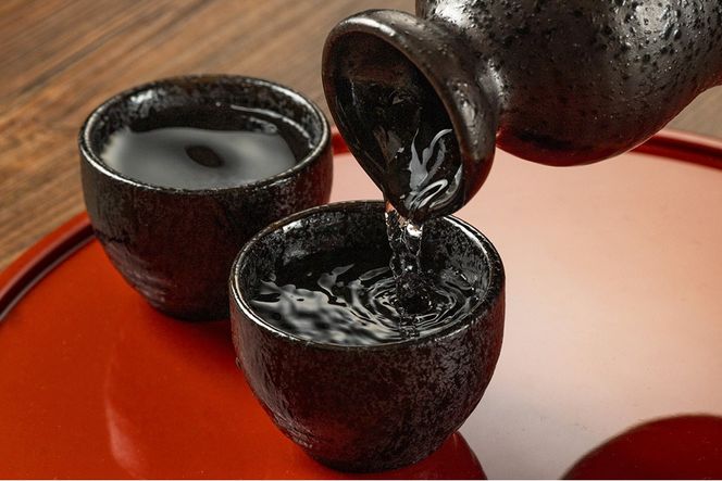 TheSAGA認定酒 純米吟醸酒おまかせ2本 定期便12回【佐賀認定酒 720ml 佐賀 佐賀ん酒 日本酒 冷酒 熱燗 飲み比べ 贈答】(H072197)