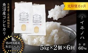＜定期便・全6回＞【令和7年産】魚沼産コシヒカリ「イネノハ 」精米(5kg×2)×6回 お米 白米 ご飯 産地直送 ミネラル 栄養分 こだわり 人気 新鮮 