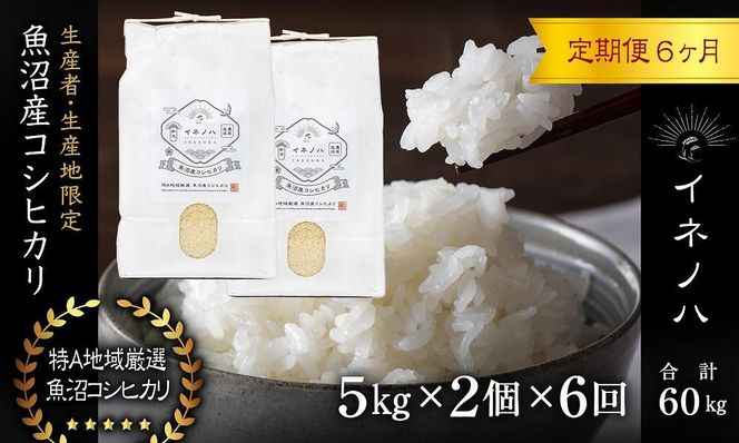 ＜定期便・全6回＞【令和7年産】魚沼産コシヒカリ「イネノハ 」精米(5kg×2)×6回 お米 白米 ご飯 産地直送 ミネラル 栄養分 こだわり 人気 新鮮 